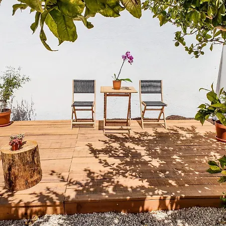 Pensión Jelly Fish Sagres